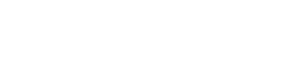 Hoymiles